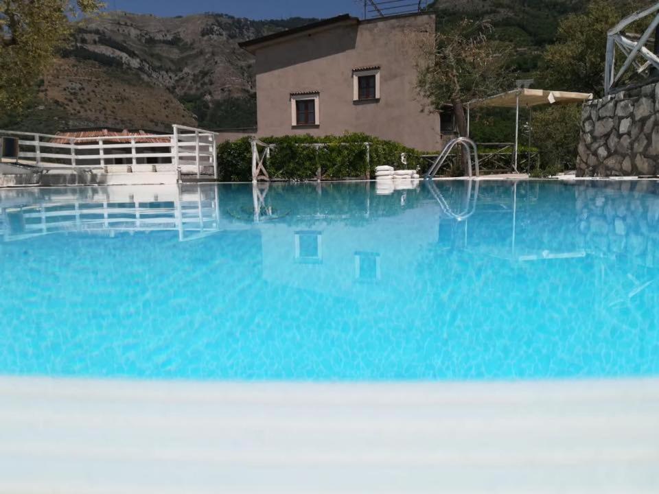 Apartament Il Casale Del Golfo Vico Equense Zewnętrze zdjęcie