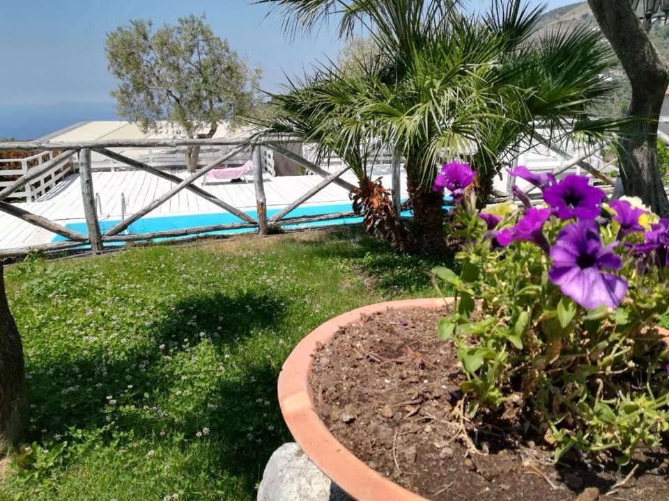 Apartament Il Casale Del Golfo Vico Equense Zewnętrze zdjęcie
